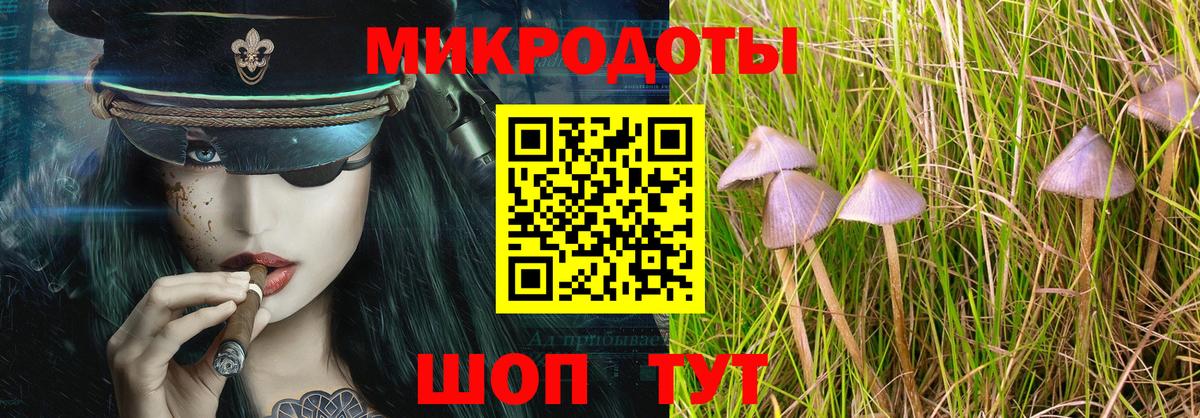 Гагарин  Псилоцибиновые грибы прущие грибы  продажа наркотиков  Вход с VPN 
