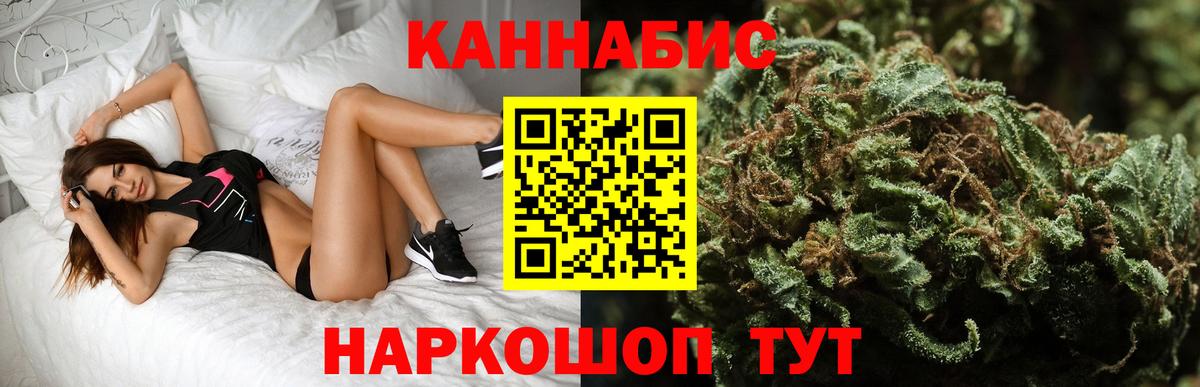 Конопля сатива Гагарин